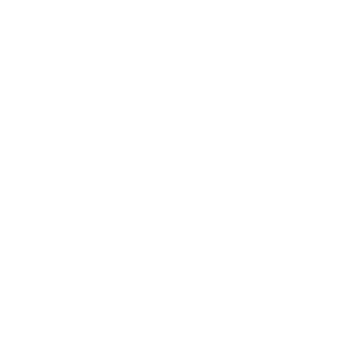 Competitive Pricing Icon